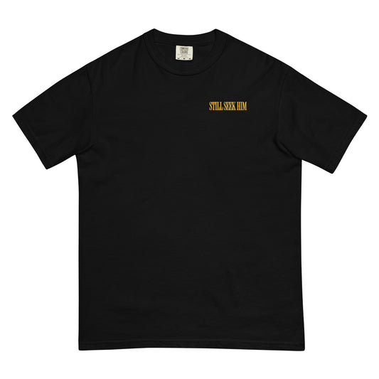 Unisex Y'all Should Seek Jesus Garment-Dyed Heavyweight T-Shirt